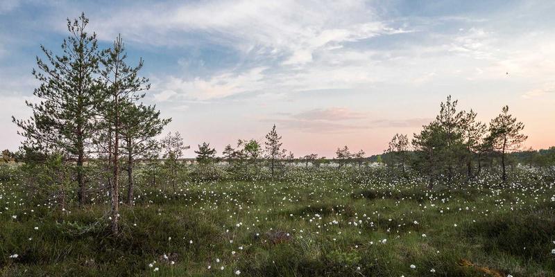 基于意图的网络（IBN）：引领网络技术与业务策略智能对齐的科技革命