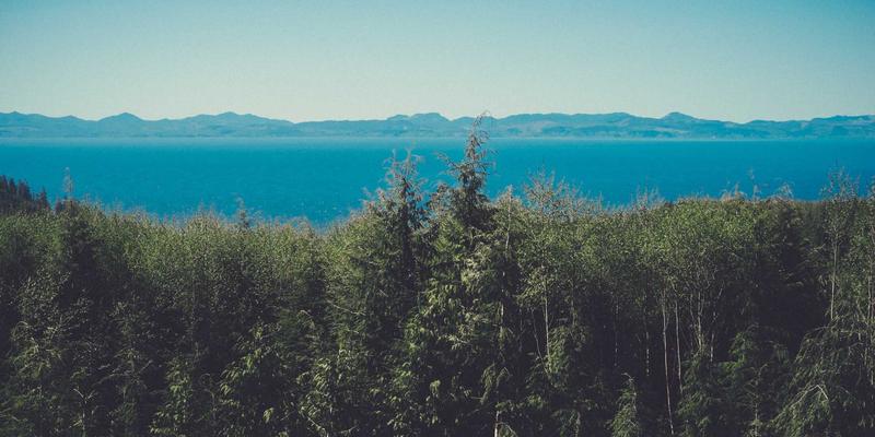 构筑未来防线：集成SASE与零信任的软件定义广域网安全架构解决方案