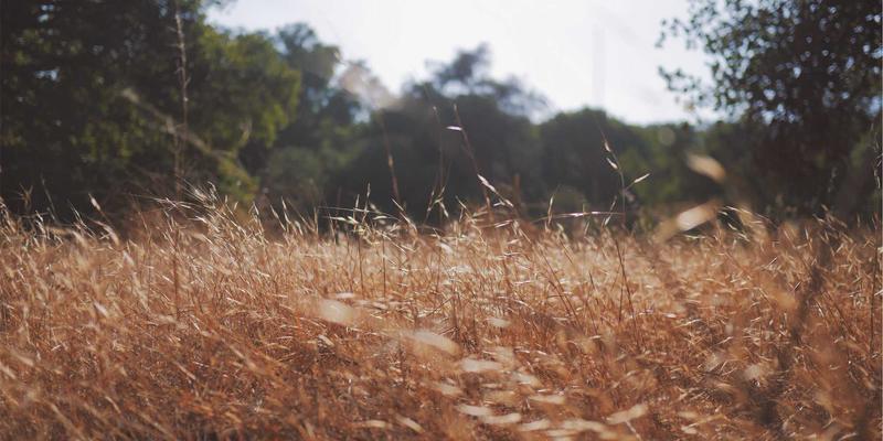 网络即服务(NaaS)商业模式解析：如何通过灵活消费网络技术优化IT支出