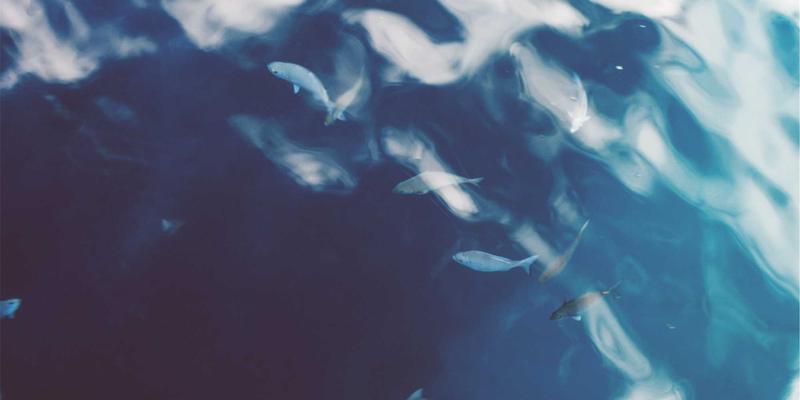 网络可观测性实践：电商企业如何超越传统监控，实现故障预测与智能根因分析