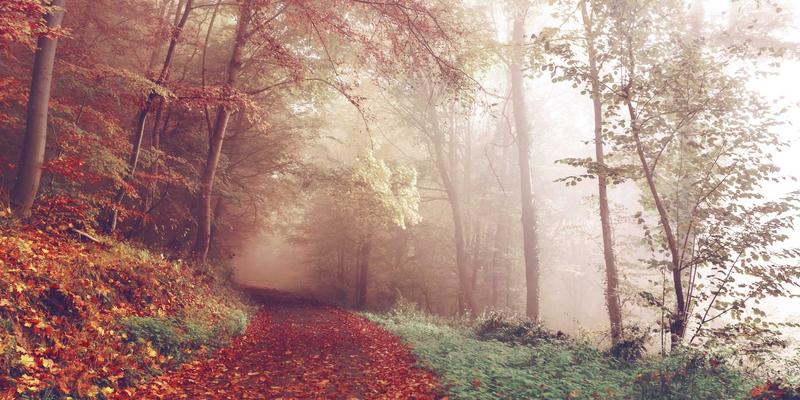 网络技术60:数字化浪潮下SBWCY如何重塑电子商务新生态