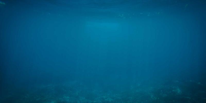 网络技术72:解码互联网时代的核心技术演进与未来蓝图