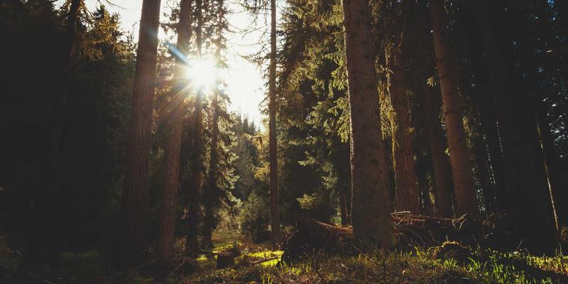 网络技术83：数字化时代的互联网解决方案与未来趋势