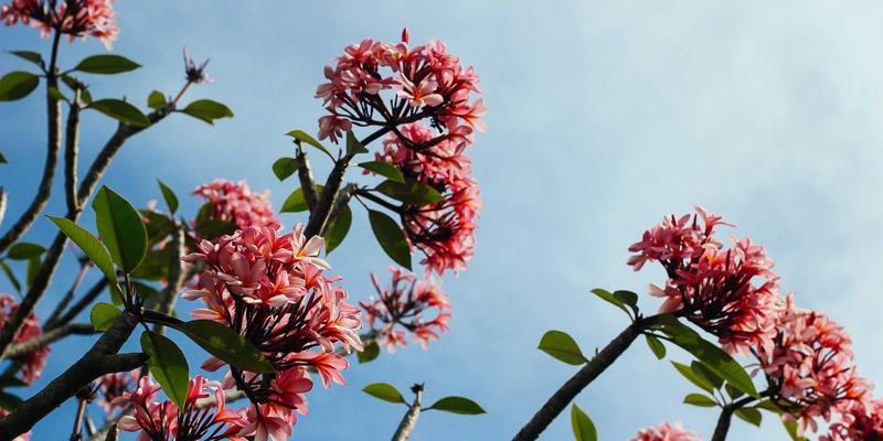 网络技术95：电子商务解决方案与SBWCY的创新实践