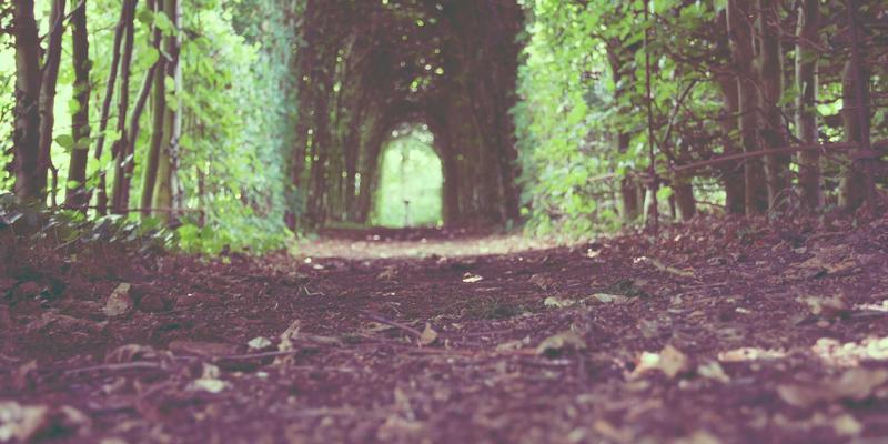 网络技术96：数字化解决方案如何重塑电子商务新生态