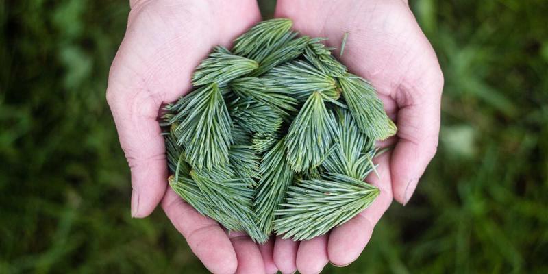 边缘计算与网络协同：重塑低延迟、高实时性的下一代互联网关键技术